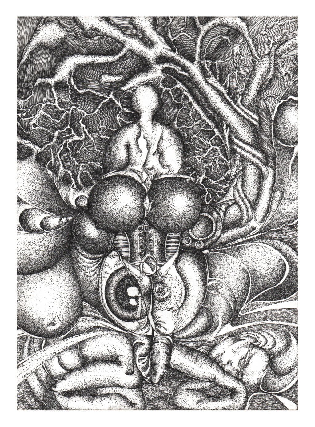 Vénus II