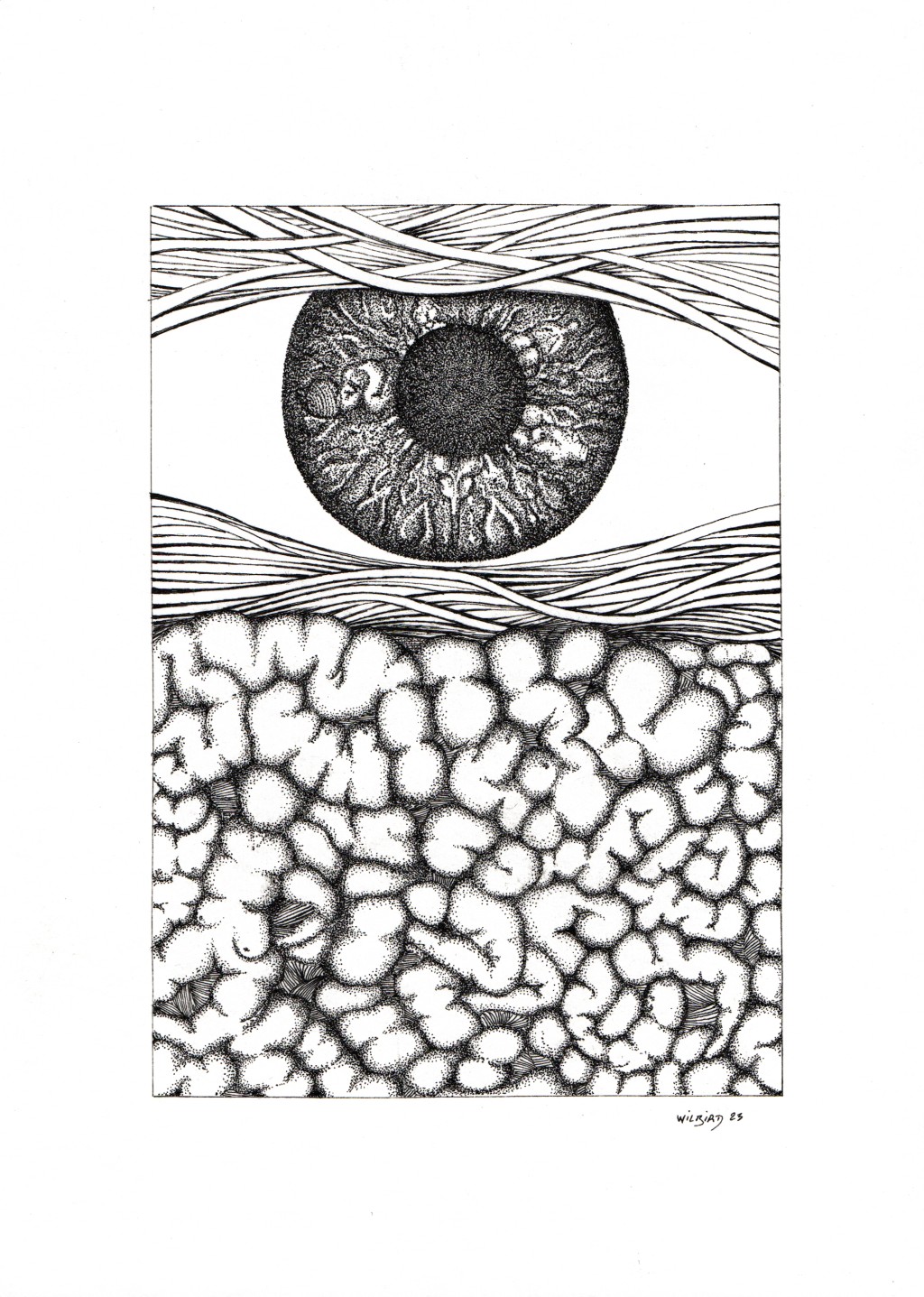 Histoire de l'oeil