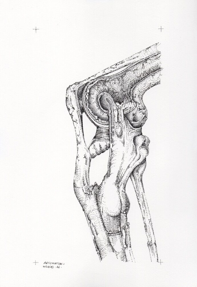 Cédric Taldu artiste - Œuvre Articulation