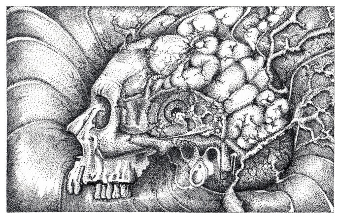 Cédric Taldu - fondation2